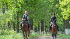 Impressionen aus dem Emsland